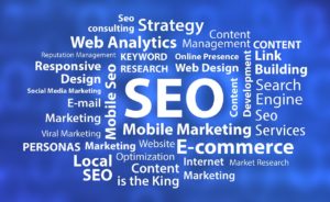 SEO | Search Engine Optimization | Palm Coast